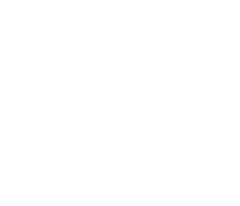 smart car renting